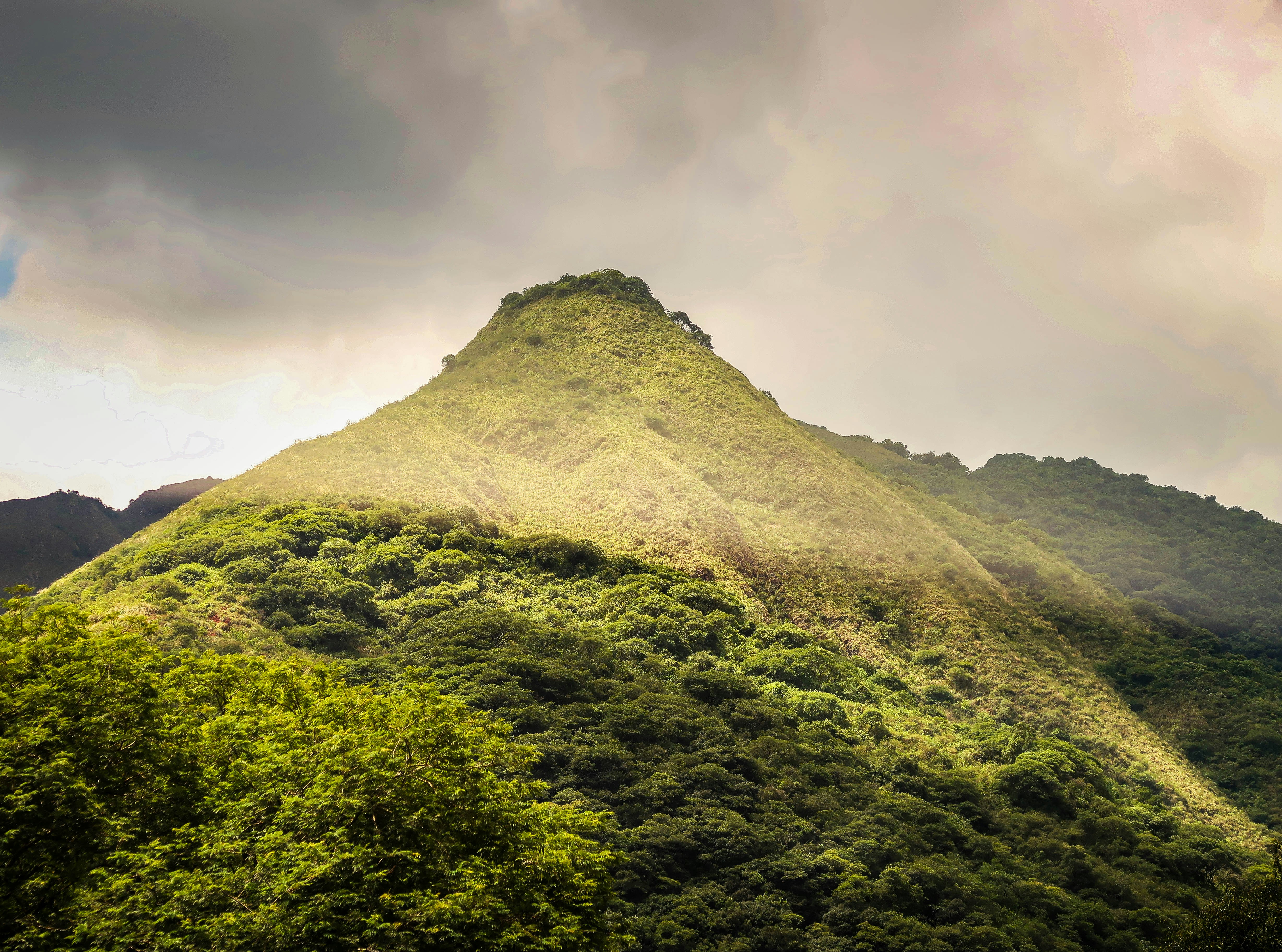 Photo by argentinanatural