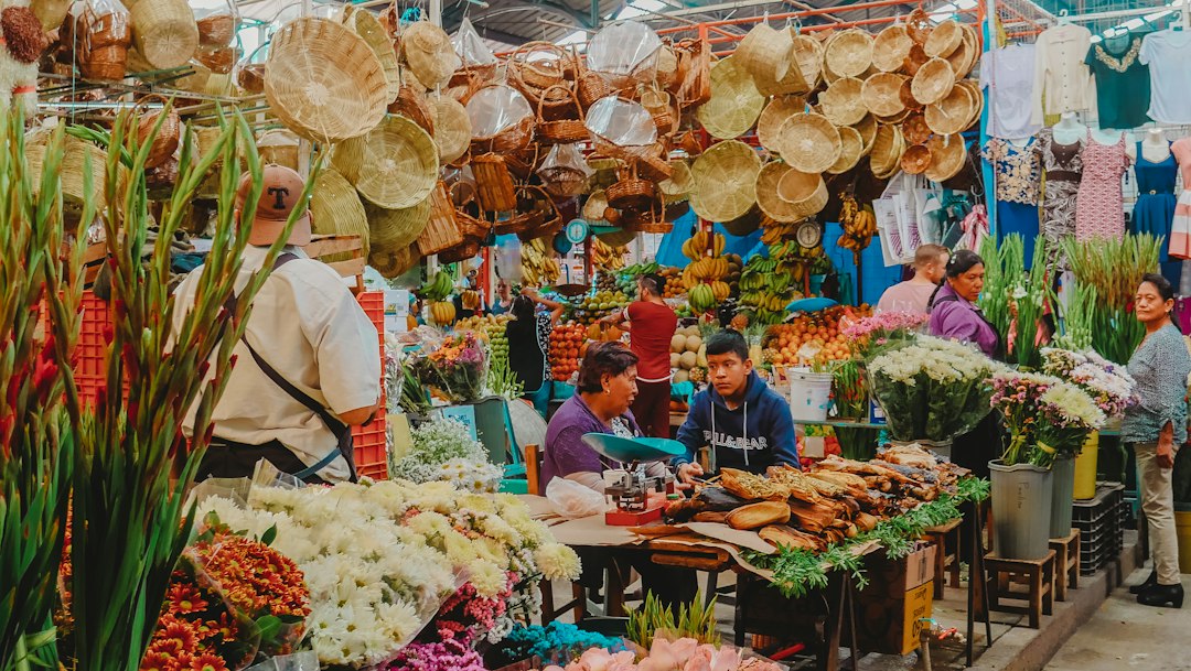 A Culinary Journey Through the Region’s Best-Kept Flavors — After Visiting 24 Mexican States This
