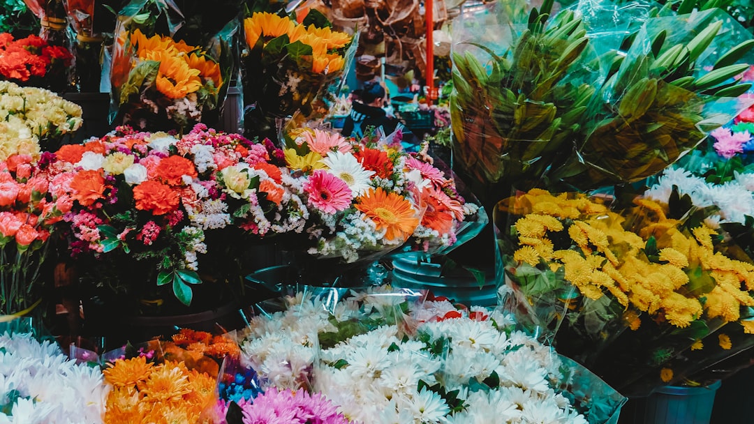 white and pink flowers in blue plastic container, Look, enjoy and share the amazing life.<p></figure>Follow me on instagram.com/srcharls.portfolio