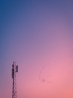 white lightning UNK on purple sky