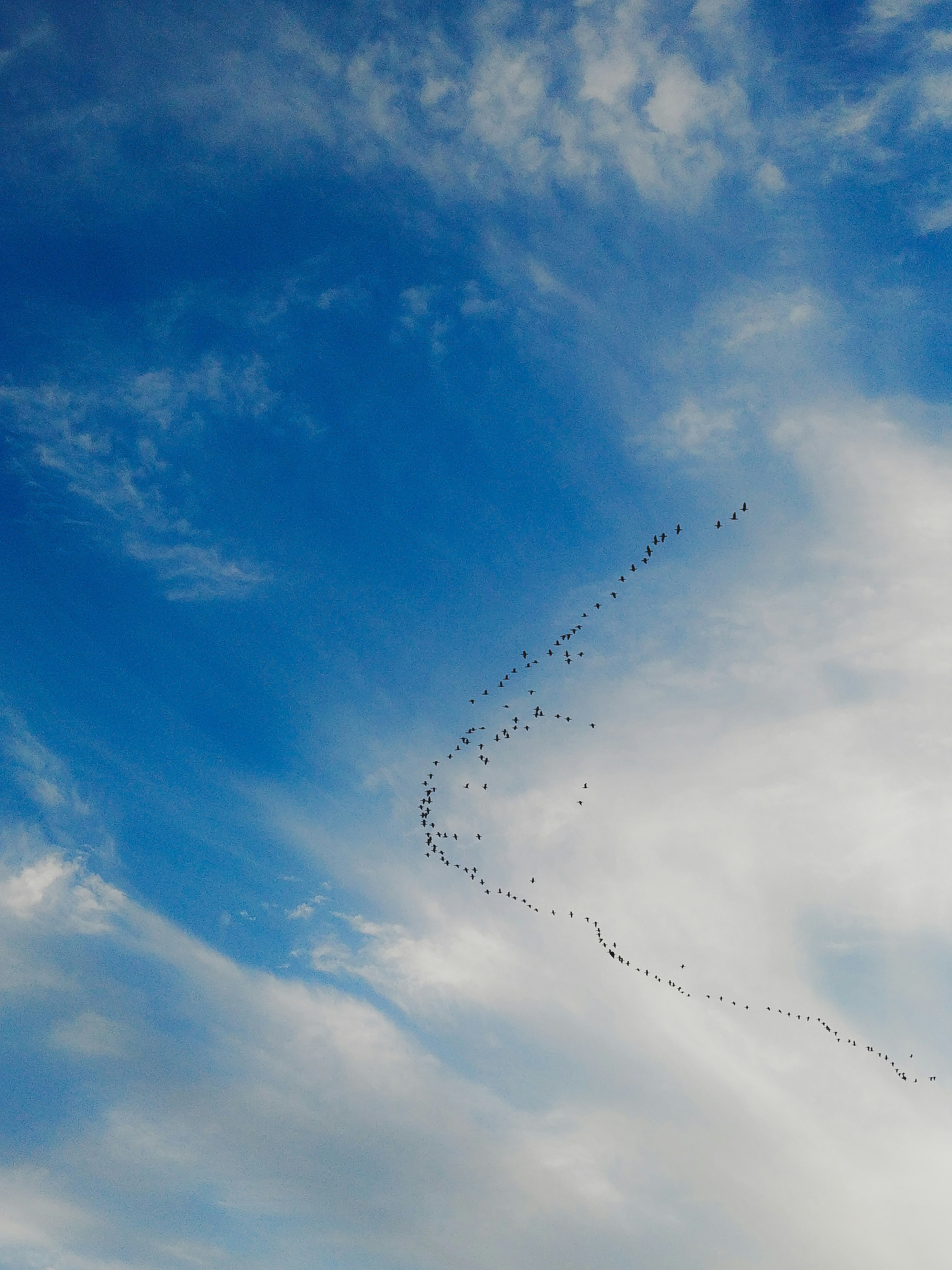 Photo by navidowfski