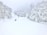 Several skiers glide down a snow-covered slope surrounded by densely packed, snow-laden trees. The sky is overcast, enhancing the wintry atmosphere.