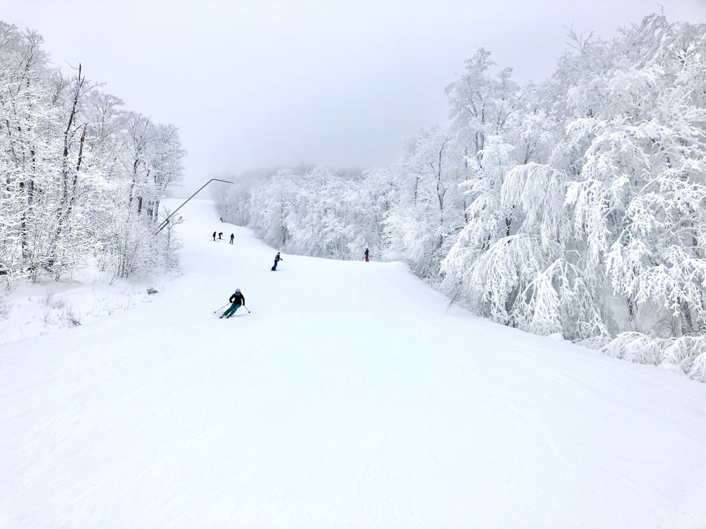 Persona con chaqueta negra y pantalones negros montando en esquí de nieve durante el día