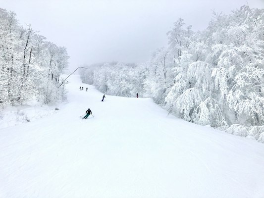 A skier on a wide piste between snow-laden trees