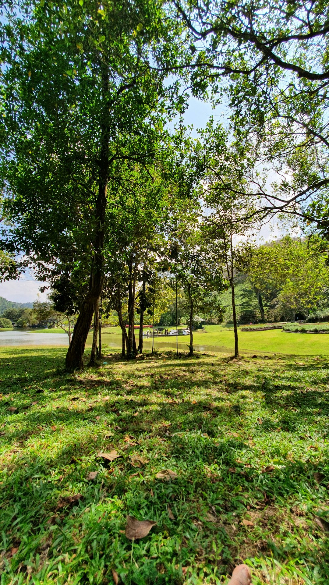 Nature reserve photo spot Seethawaka Kandy