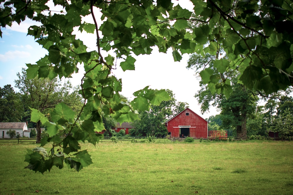 red and white house near green tree during daytime