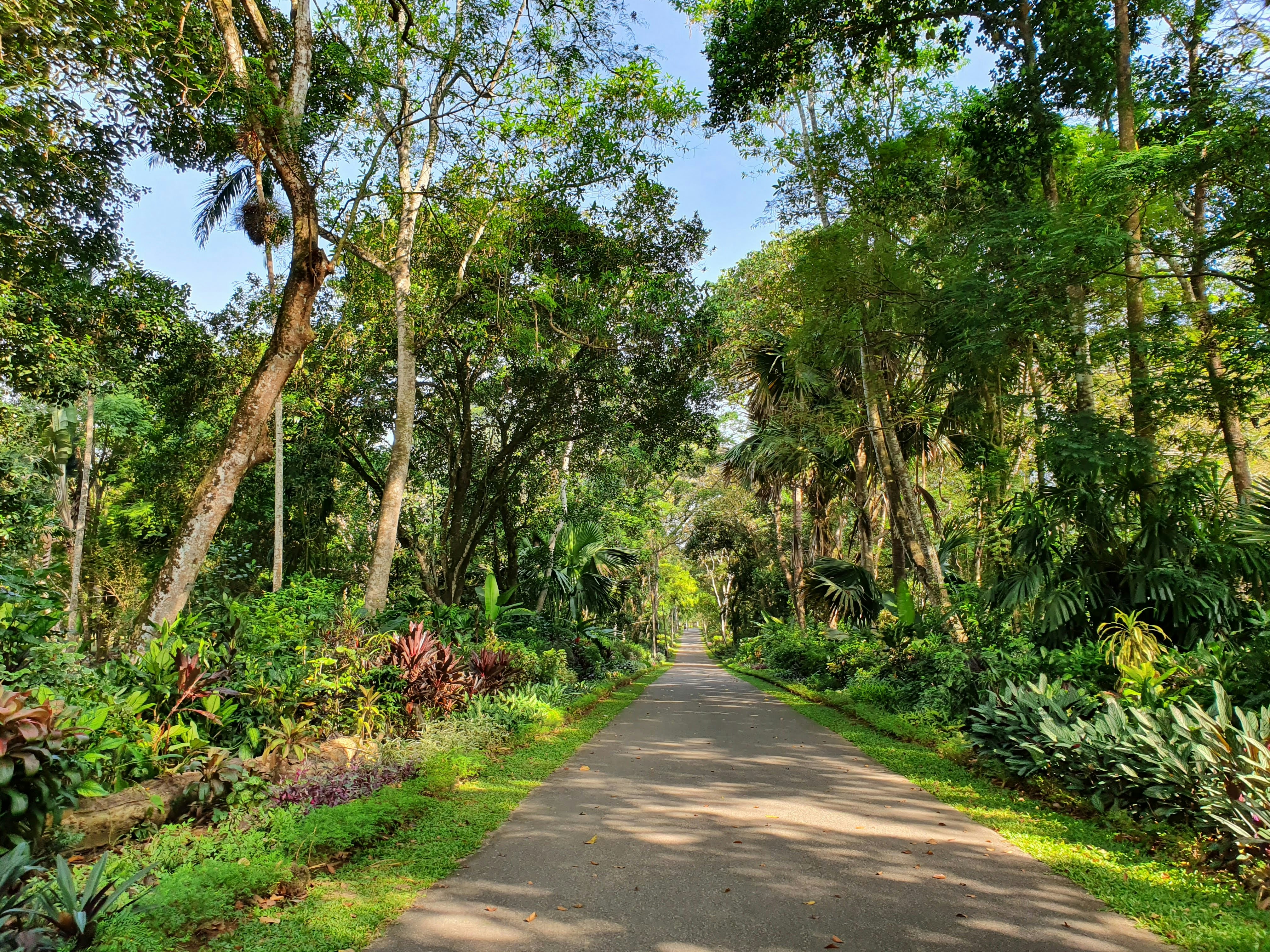 Top Places To Visit In Gampaha During Your Sri Lanka Vacation