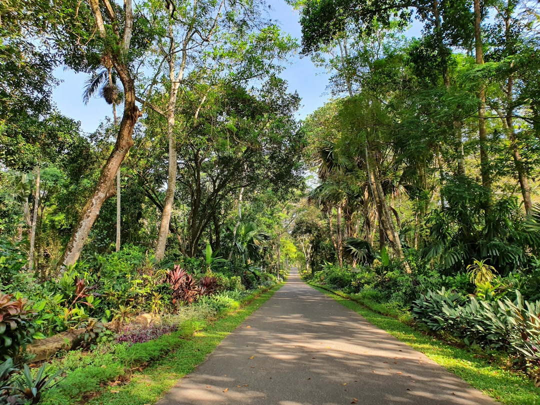 Jungle photo spot Henarathgoda Sri Lanka