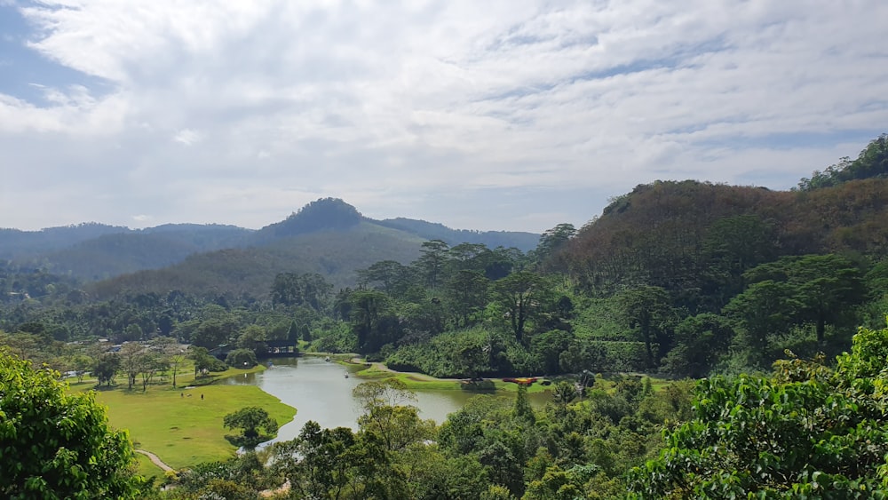 green trees near river under cloudy sky during daytime