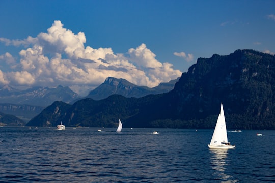 white sailboat on sea near mountain under blue sky during daytime in Lake Lucerne Switzerland