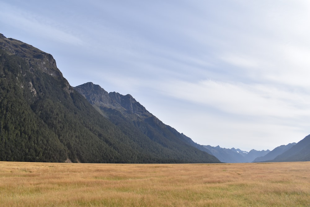 a grassy field with mountains in the background