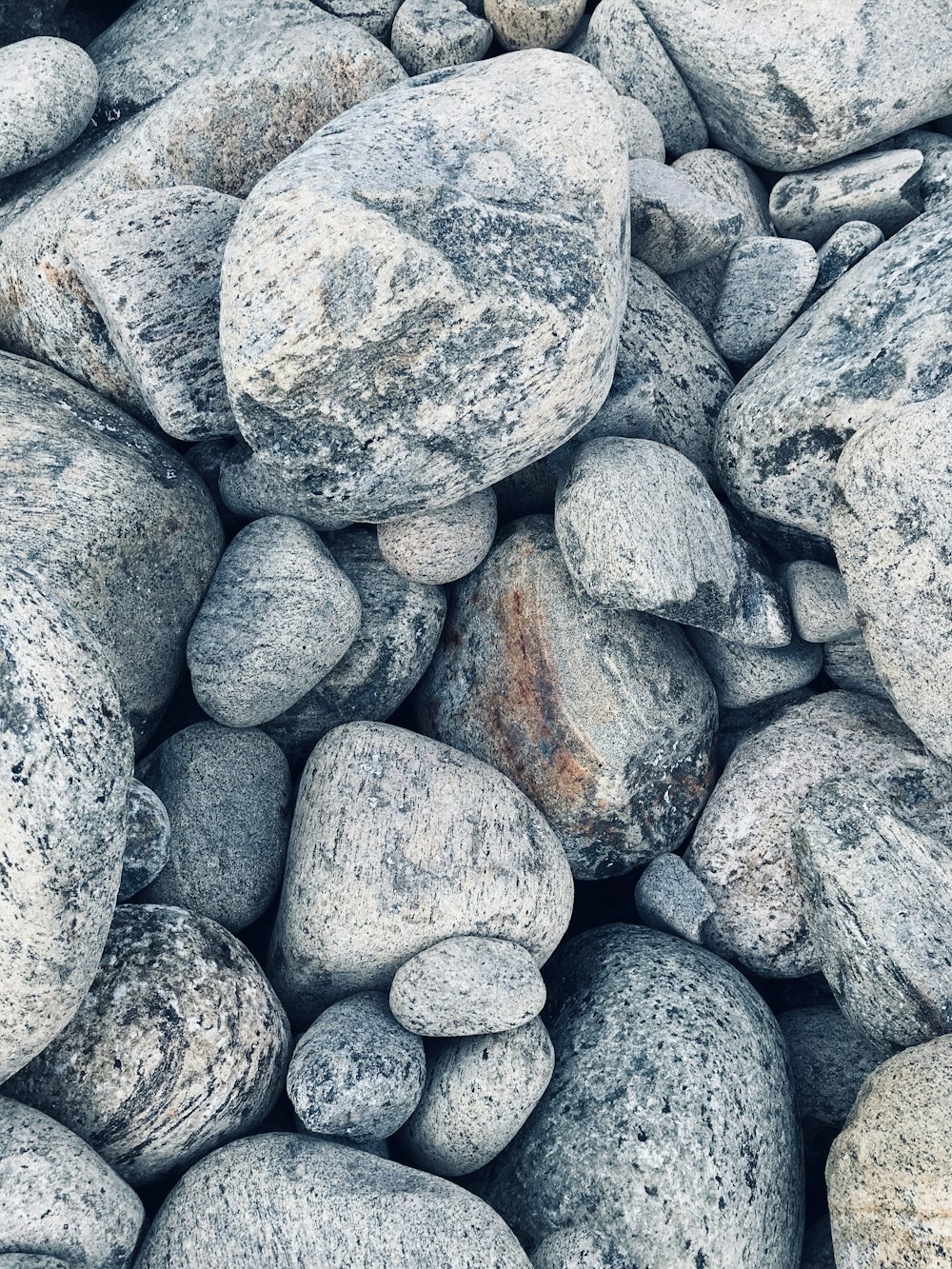 gray and white stone fragments