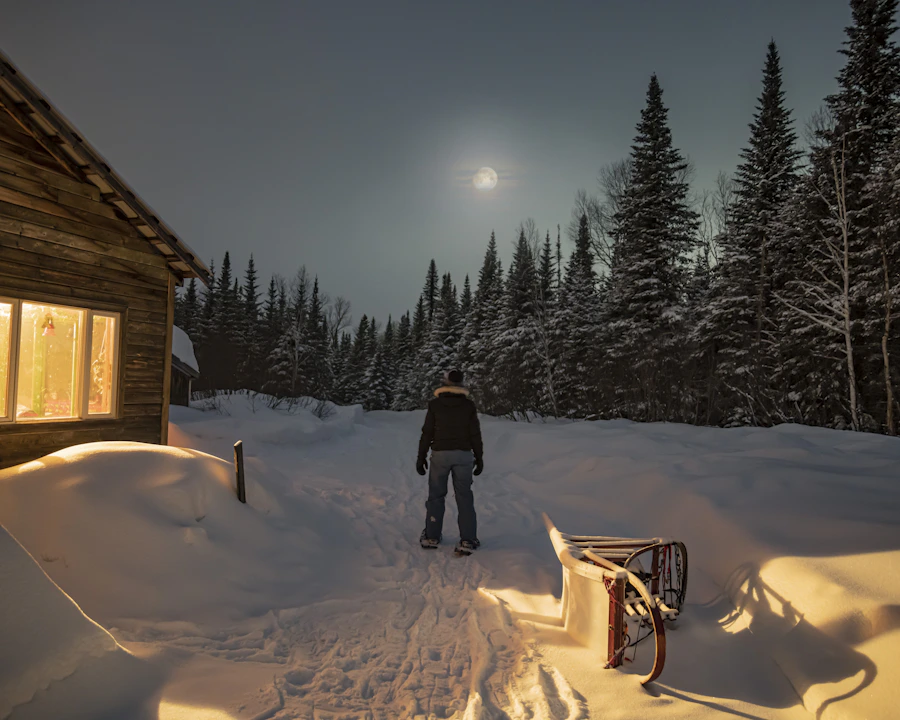 Cabin and figure in a snowy northern landscape