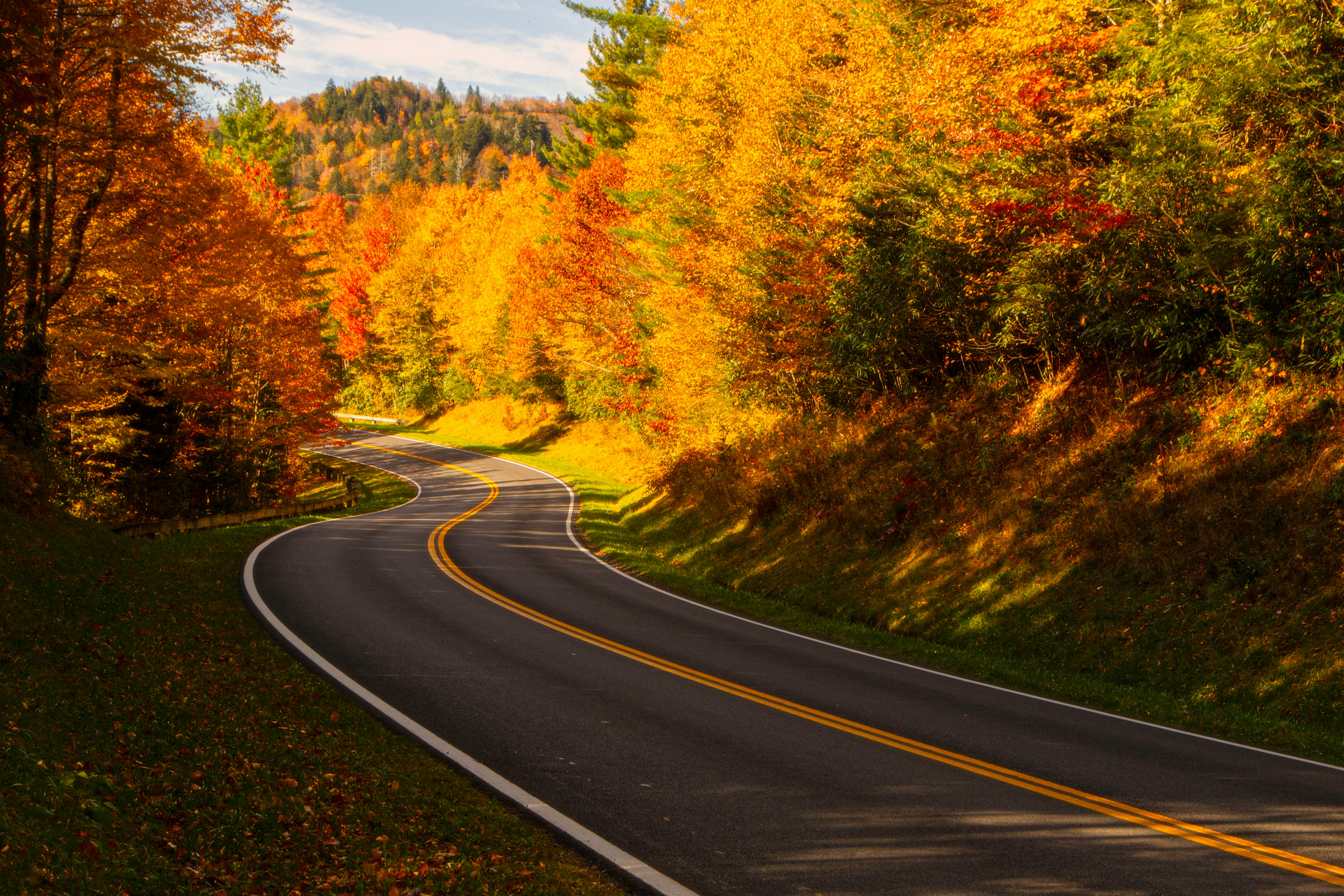 gray asphalt road between green and yellow trees under blue sky during daytime