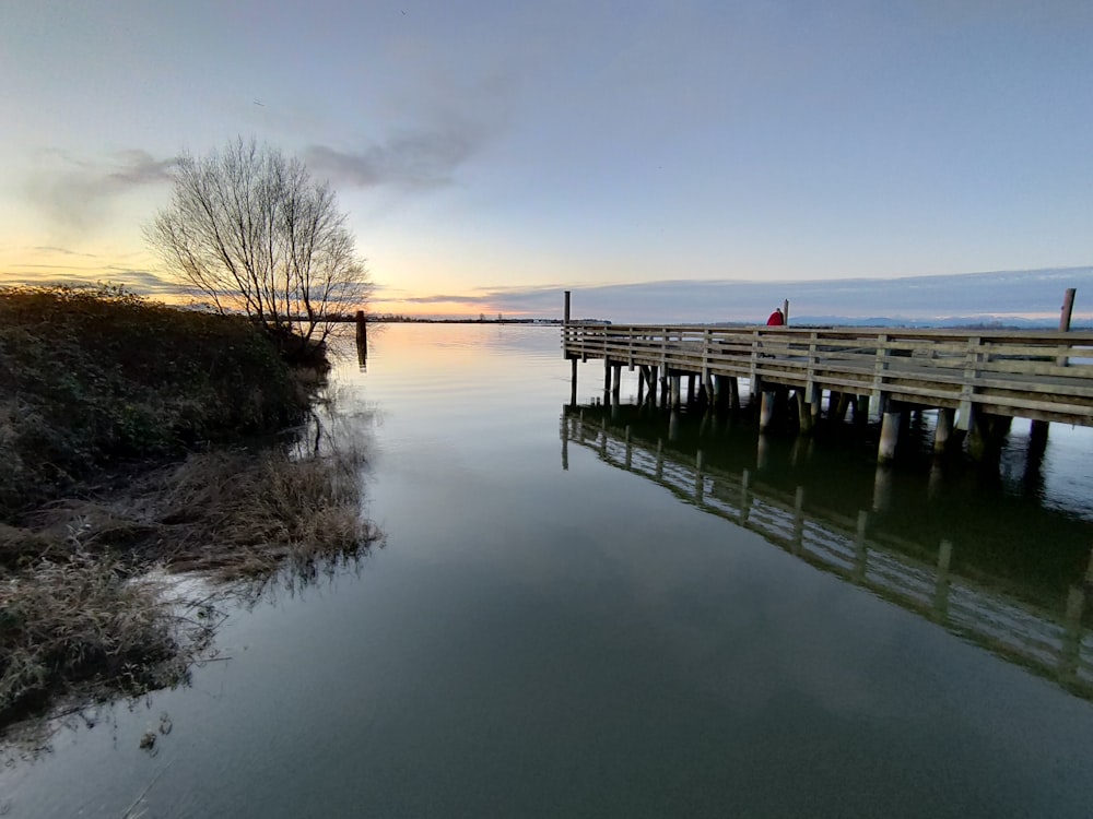 brown wooden dock on lake during daytime