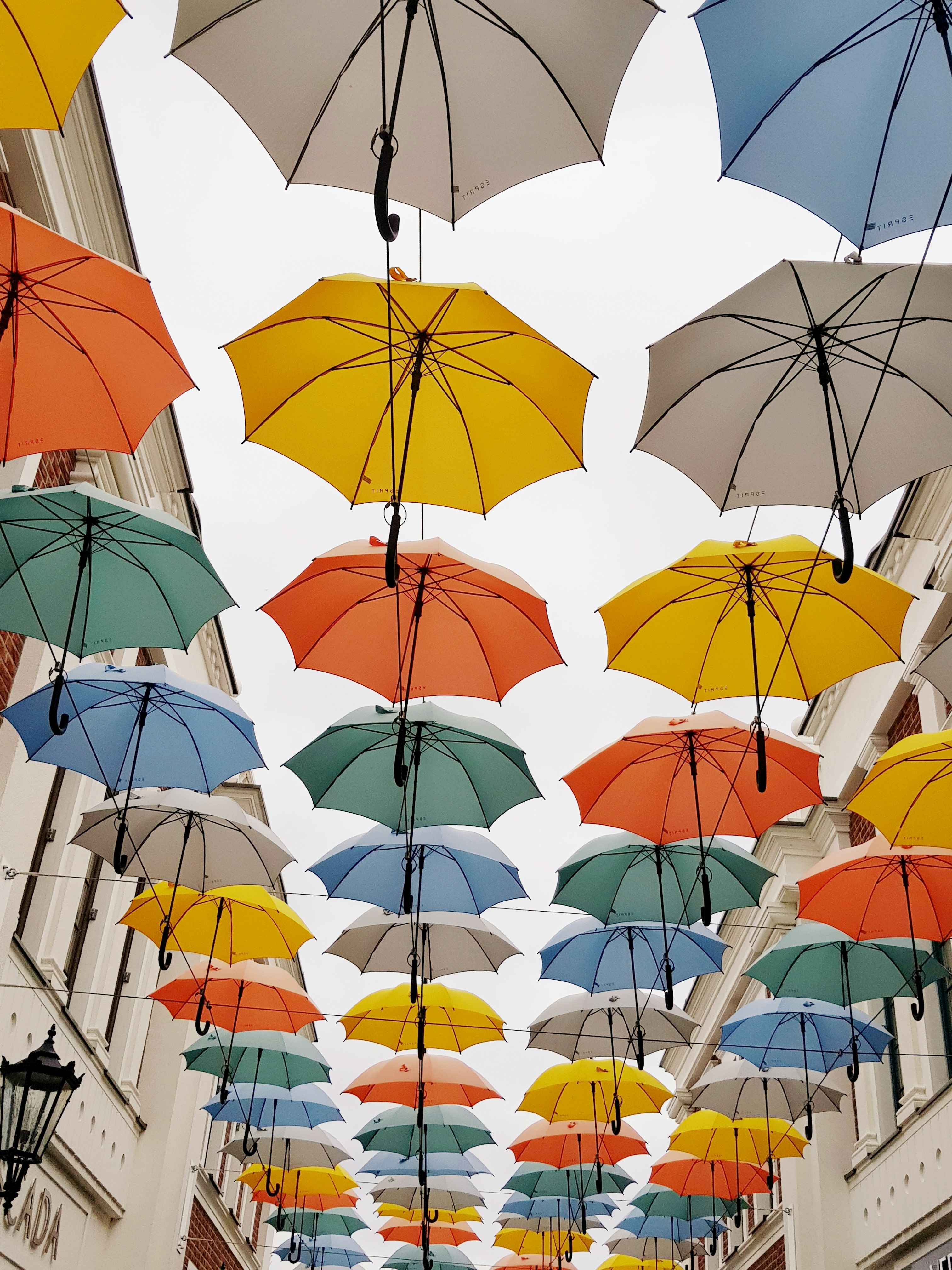 white and red umbrella lot