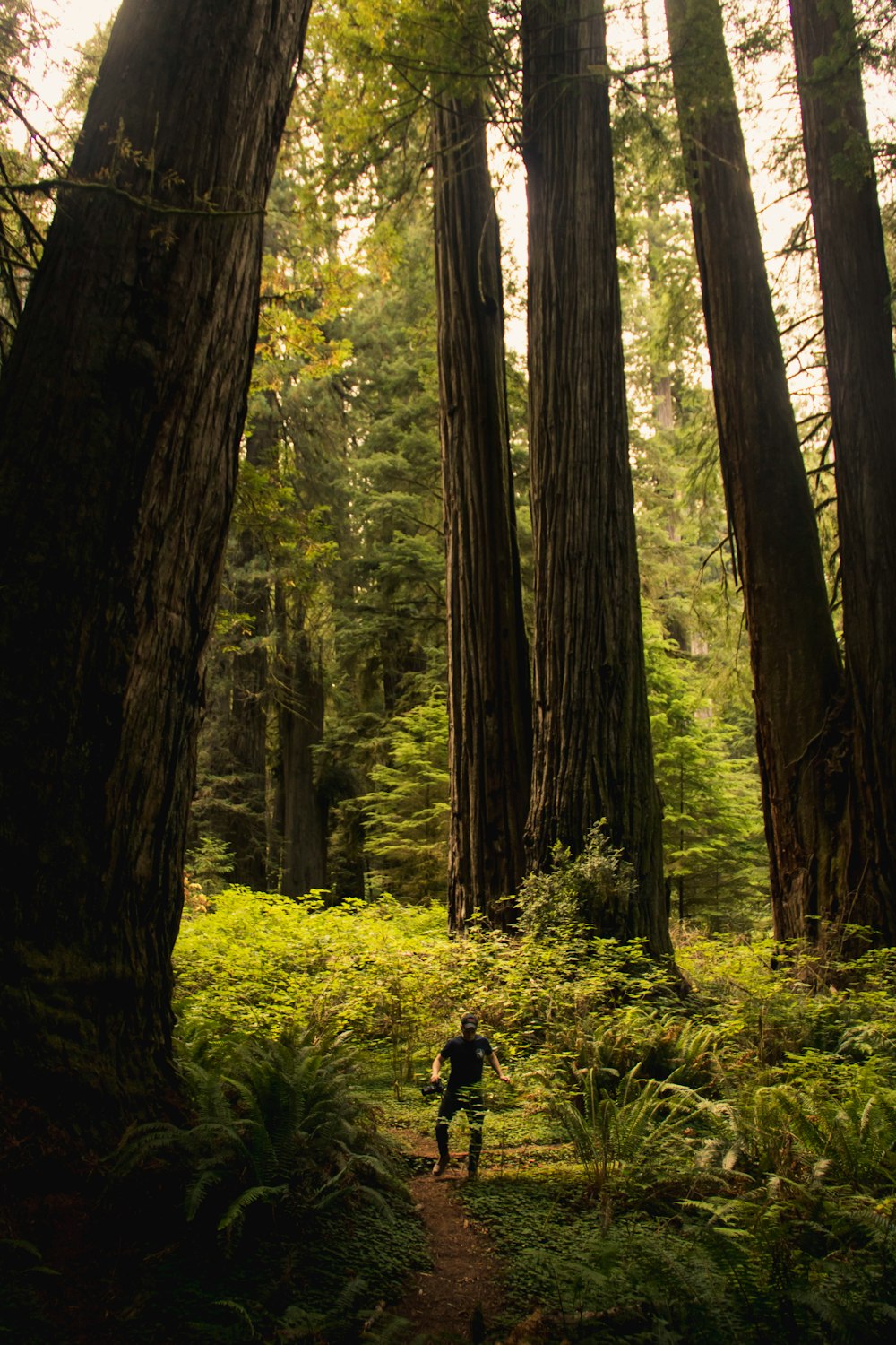 person in black jacket walking on green grass field surrounded by trees during daytime