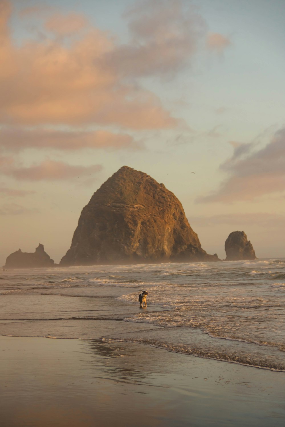 person in black shirt and black pants walking on beach during daytime