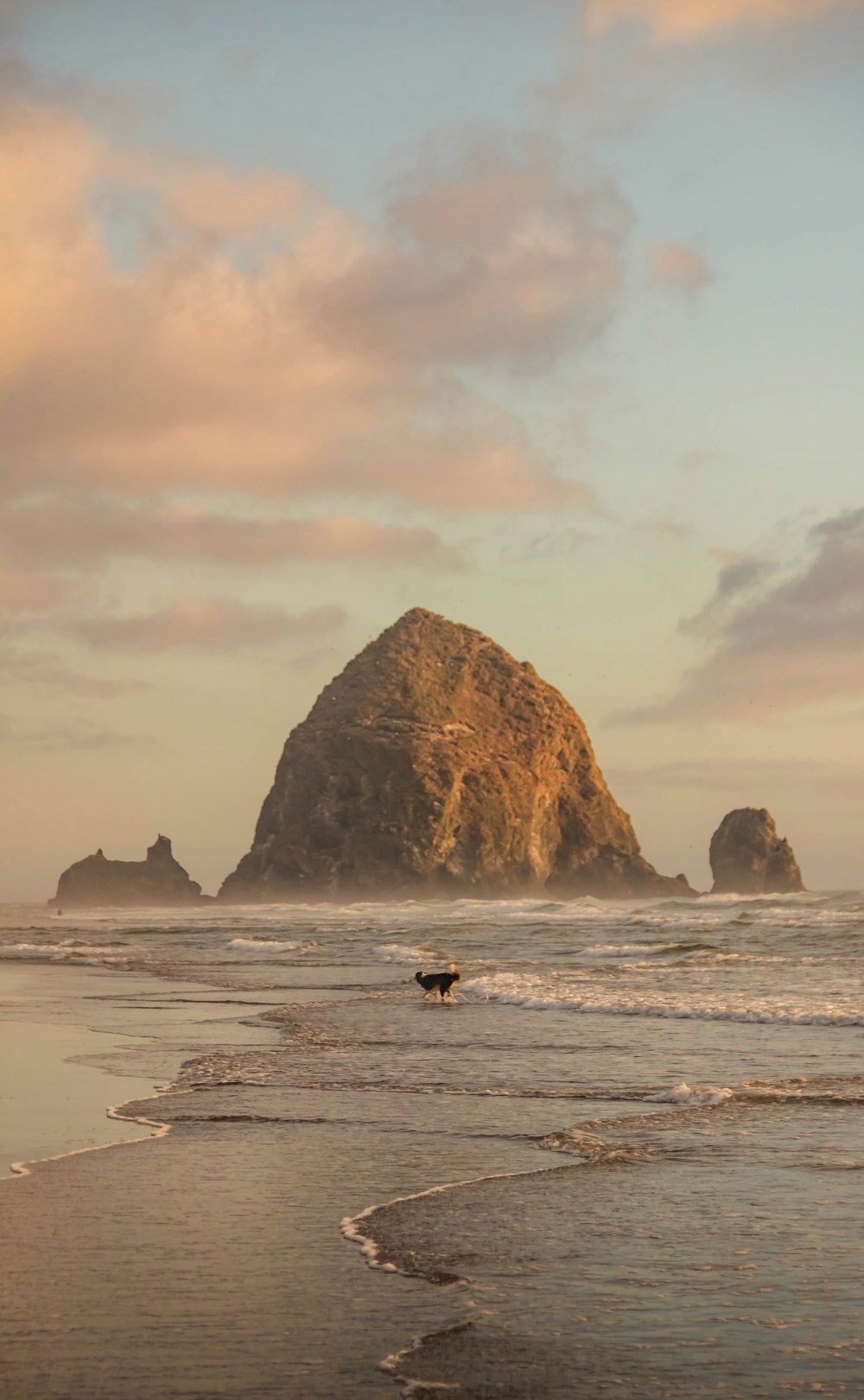 person in black shirt and black pants walking on seashore during daytime