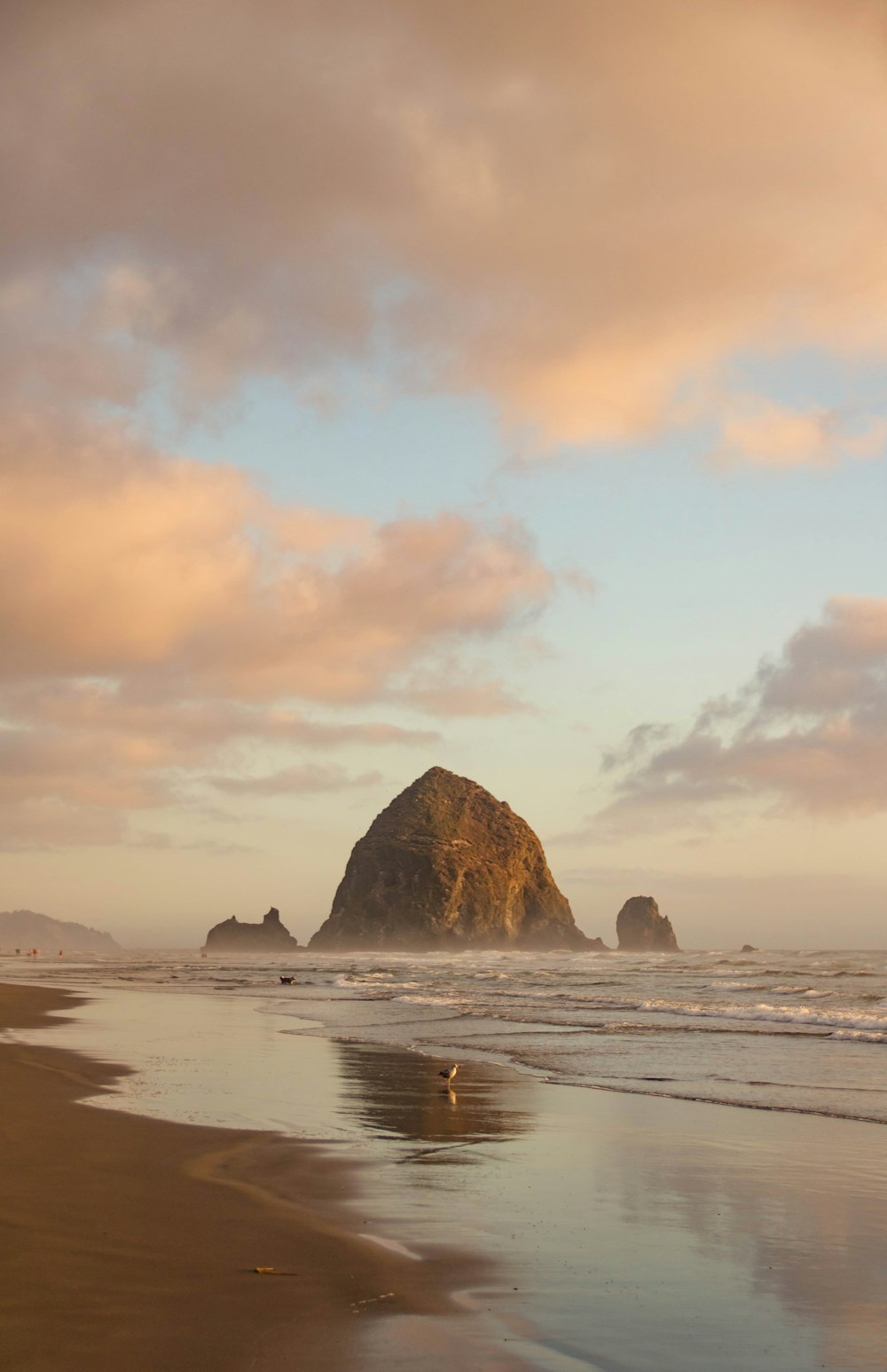 brown rock formation on sea during daytime