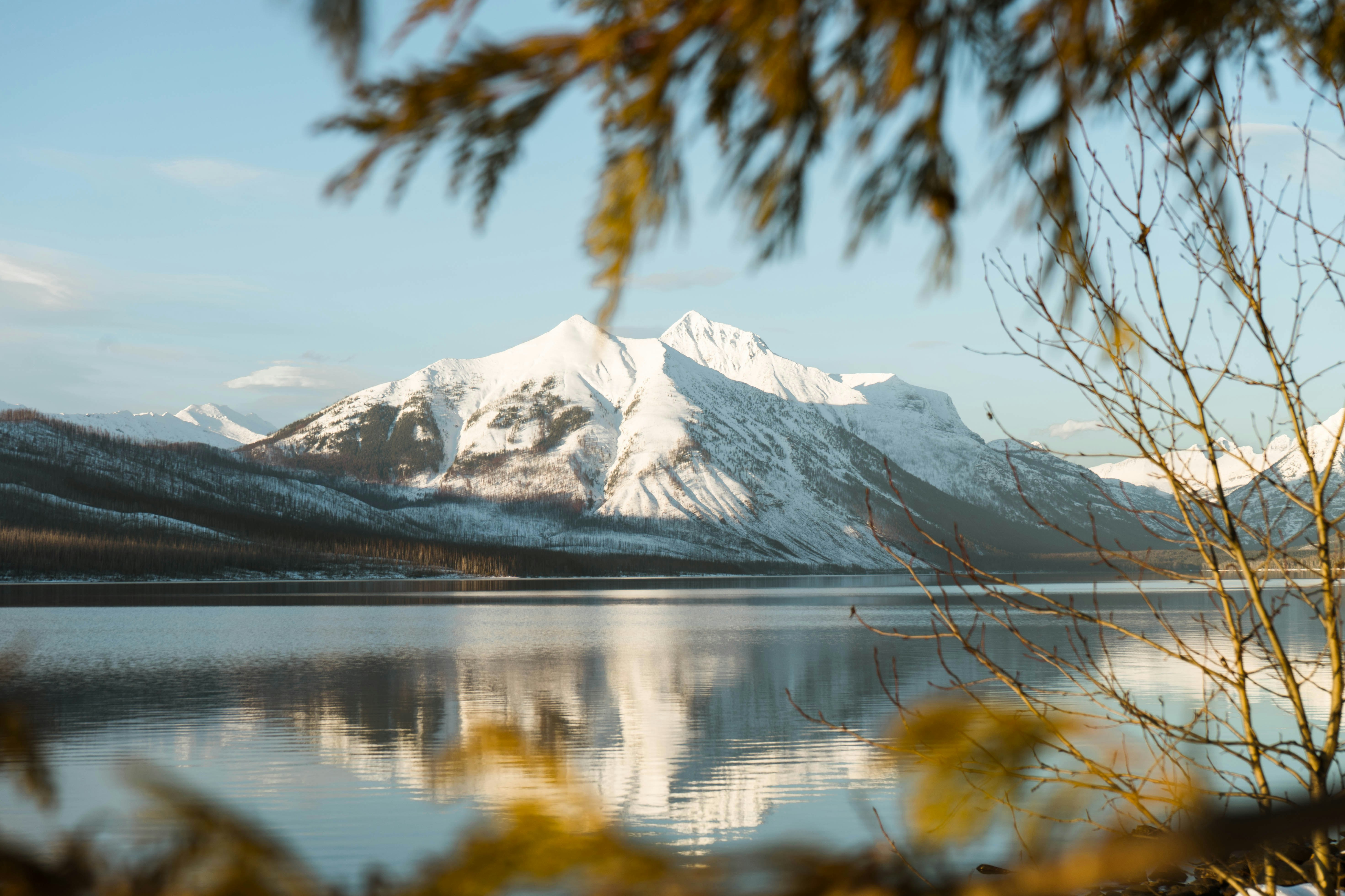 green palm tree near lake and snow covered mountain during daytime