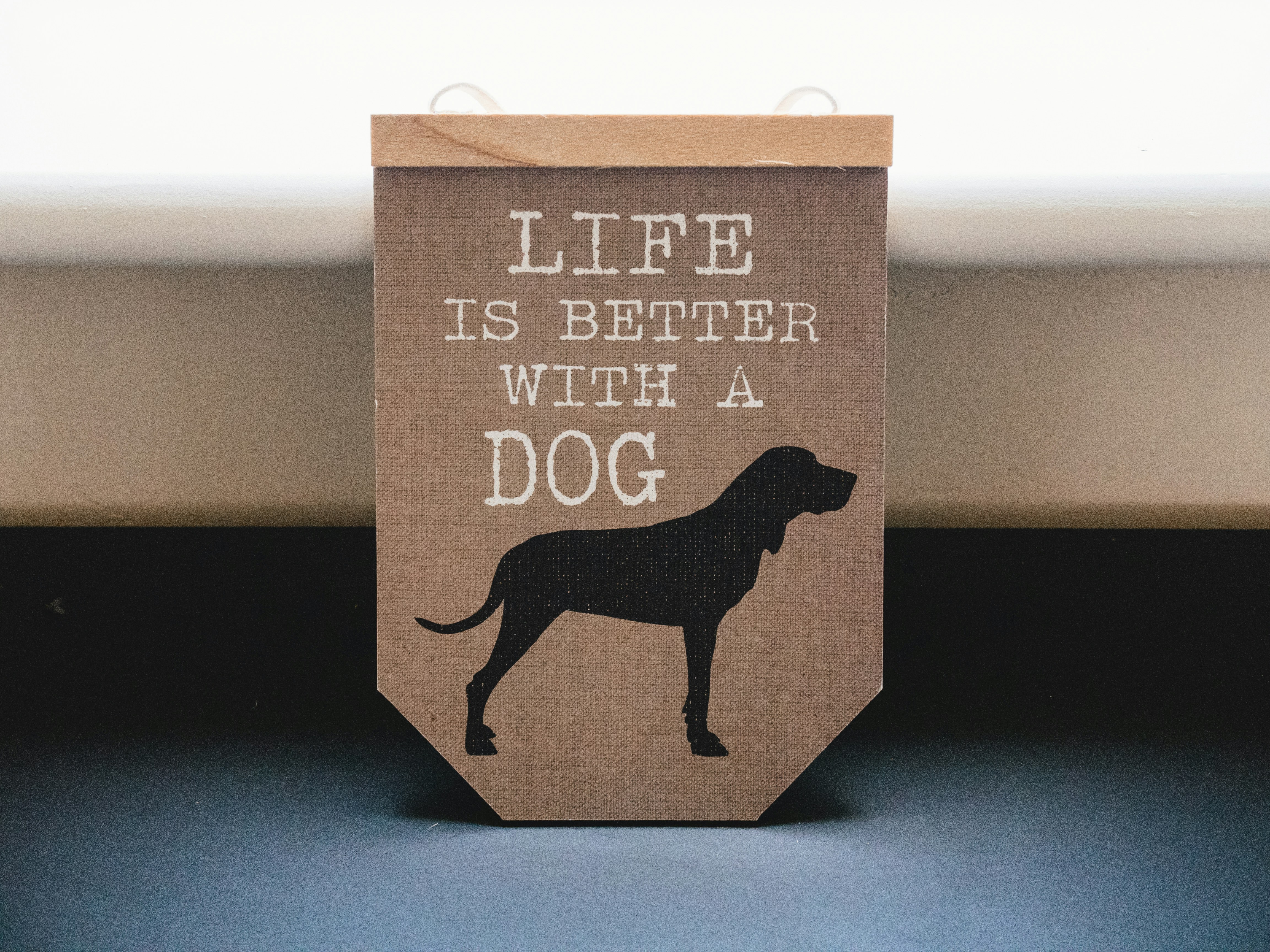 Fur & Paw – Retail Brand Identity