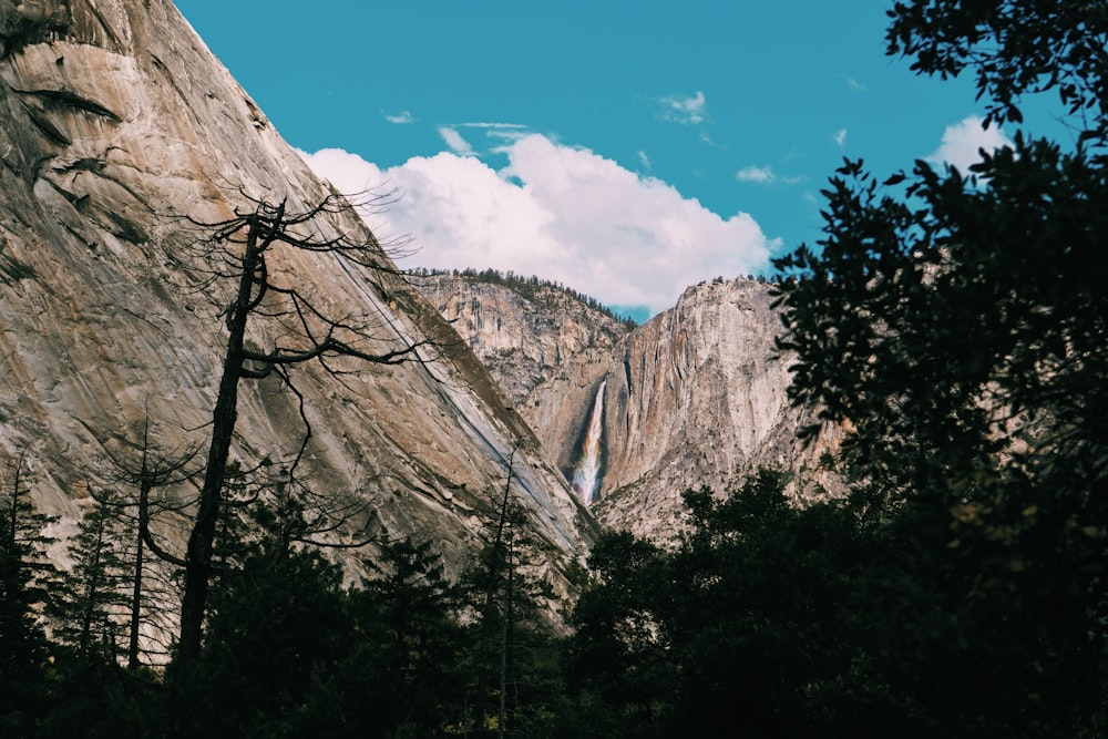 green trees near brown rocky mountain under blue sky during daytime