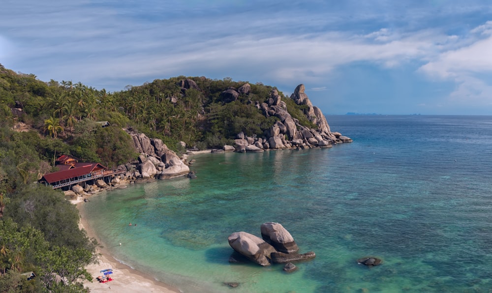 people on beach during daytime