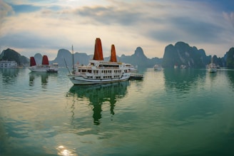 white and blue boat on water during daytime