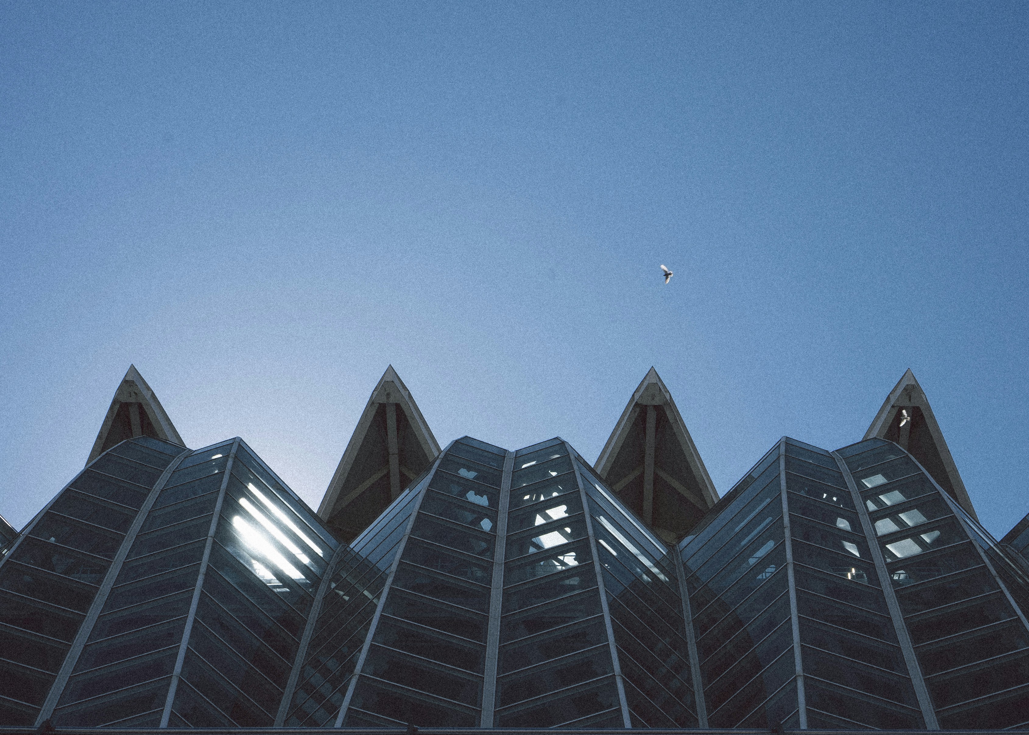 Photo by eugenechystiakov