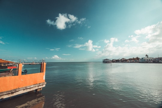 brown wooden dock on sea under blue sky during daytime in Belize City Belize