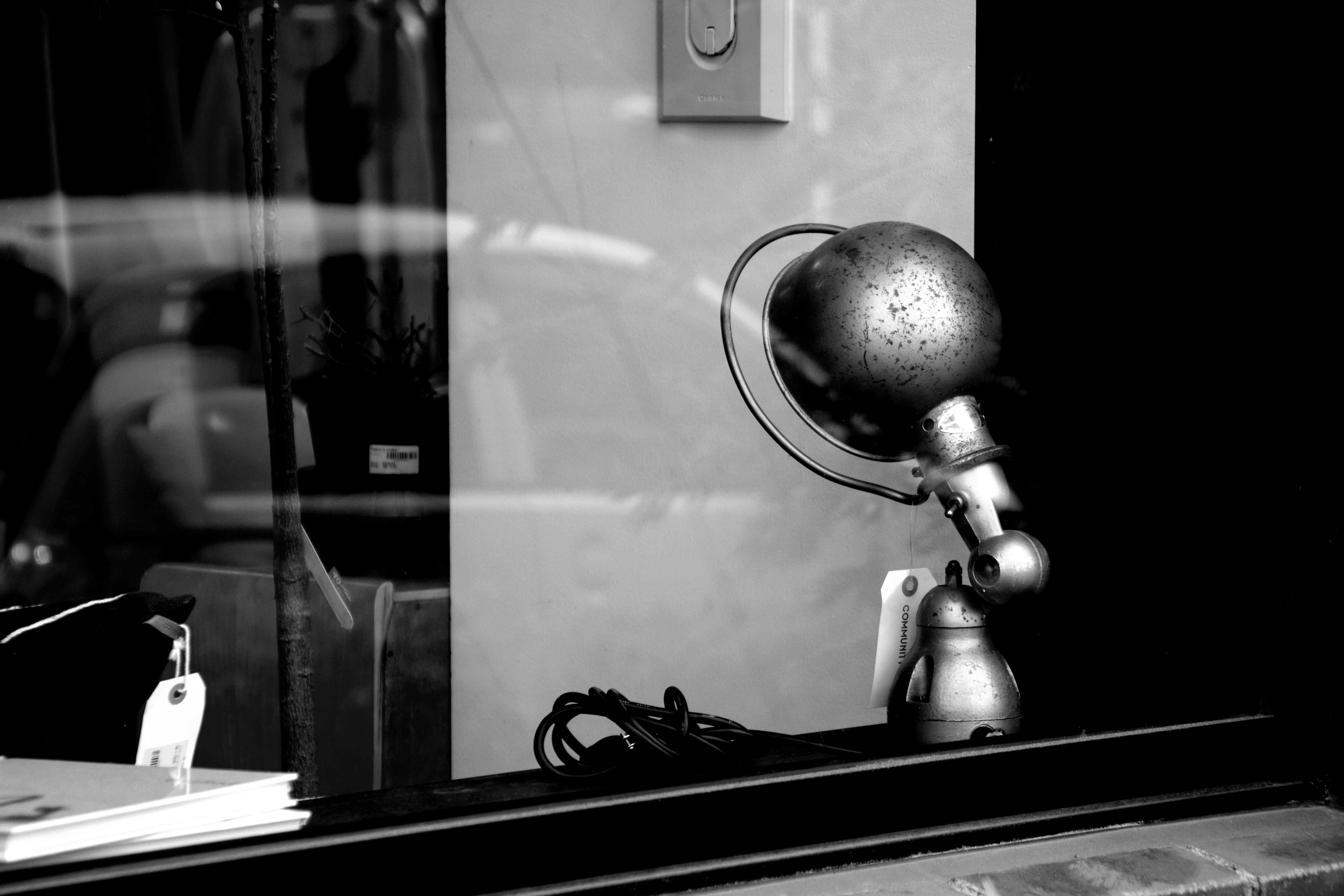 Photo by shima_giraffe