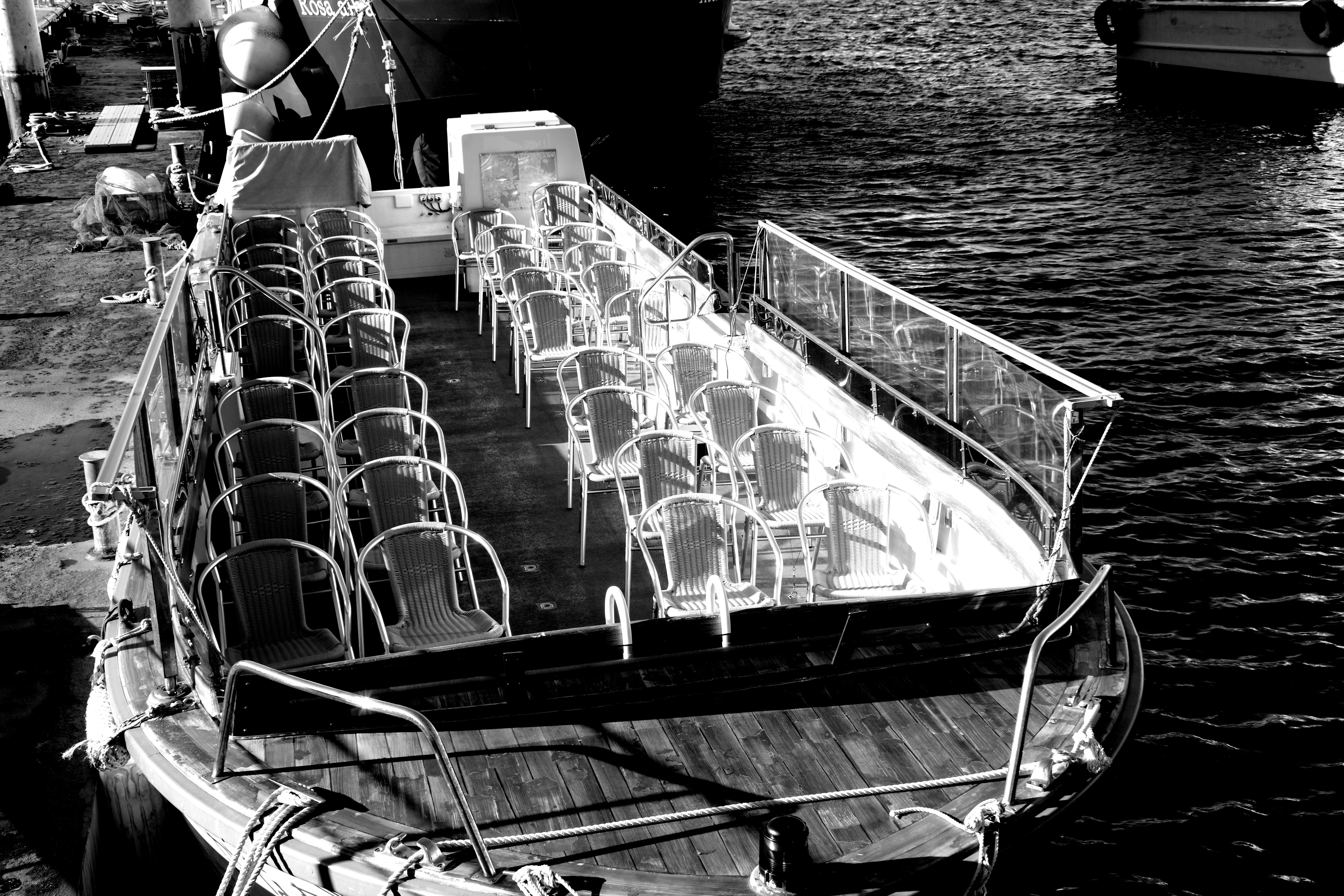 Photo by shima_giraffe