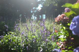 A beautifully designed garden with lush greenery and colorful flowers under soft sunlight.