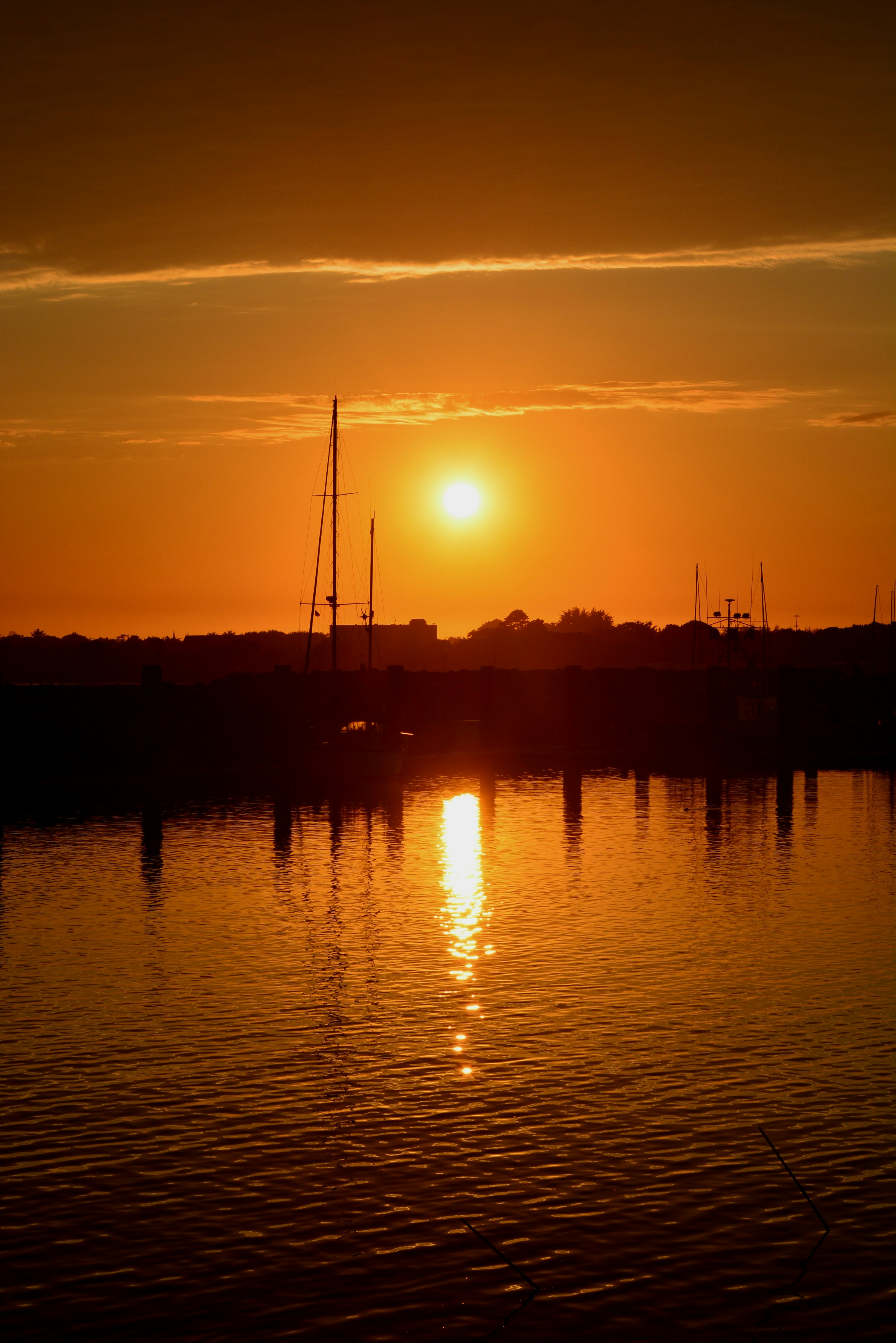 Photo by pedrino5_official