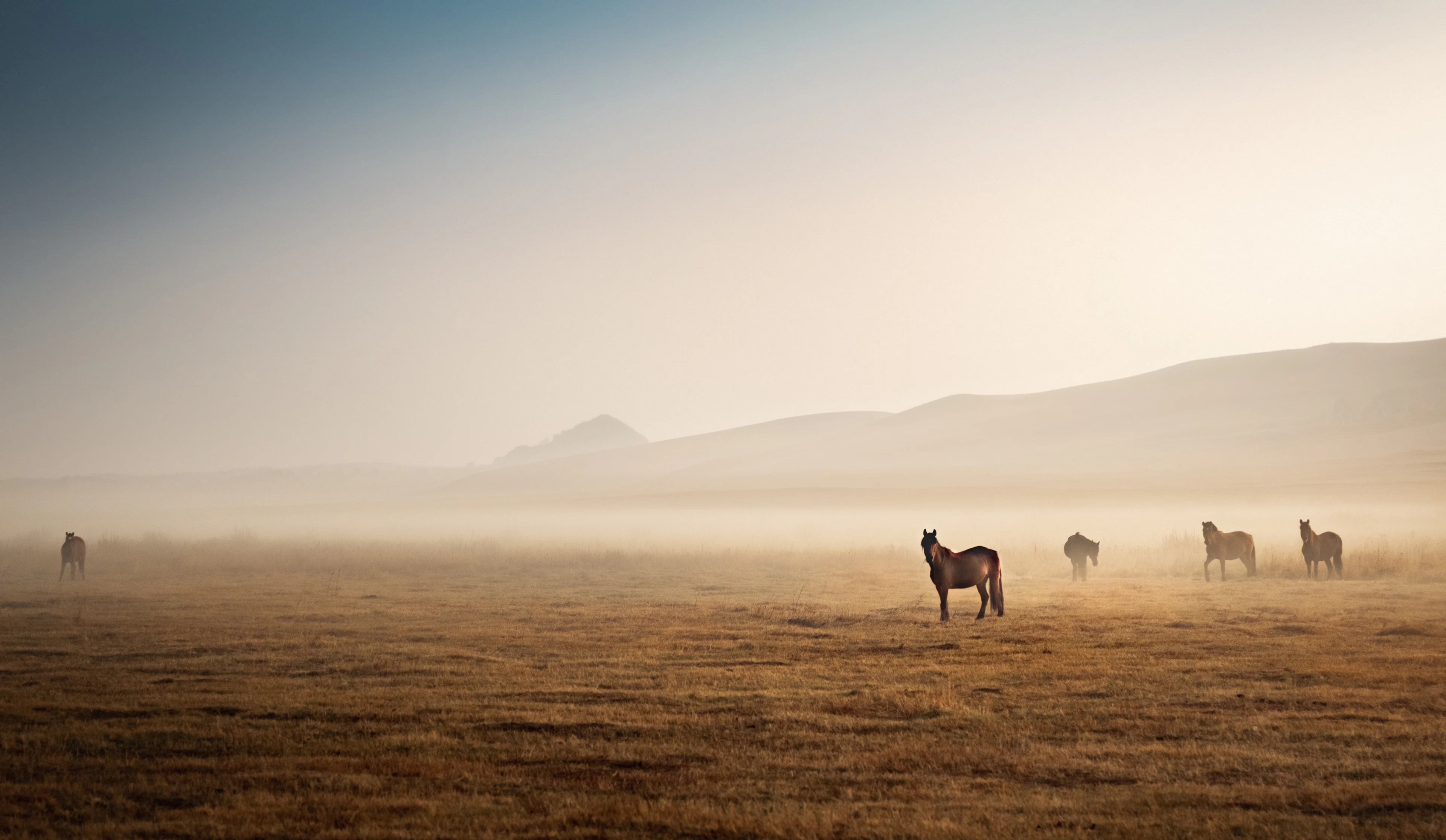 Horses walking through golden dust on a hazy plain