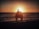 A happy family enjoying a sunset on a tropical beach.
