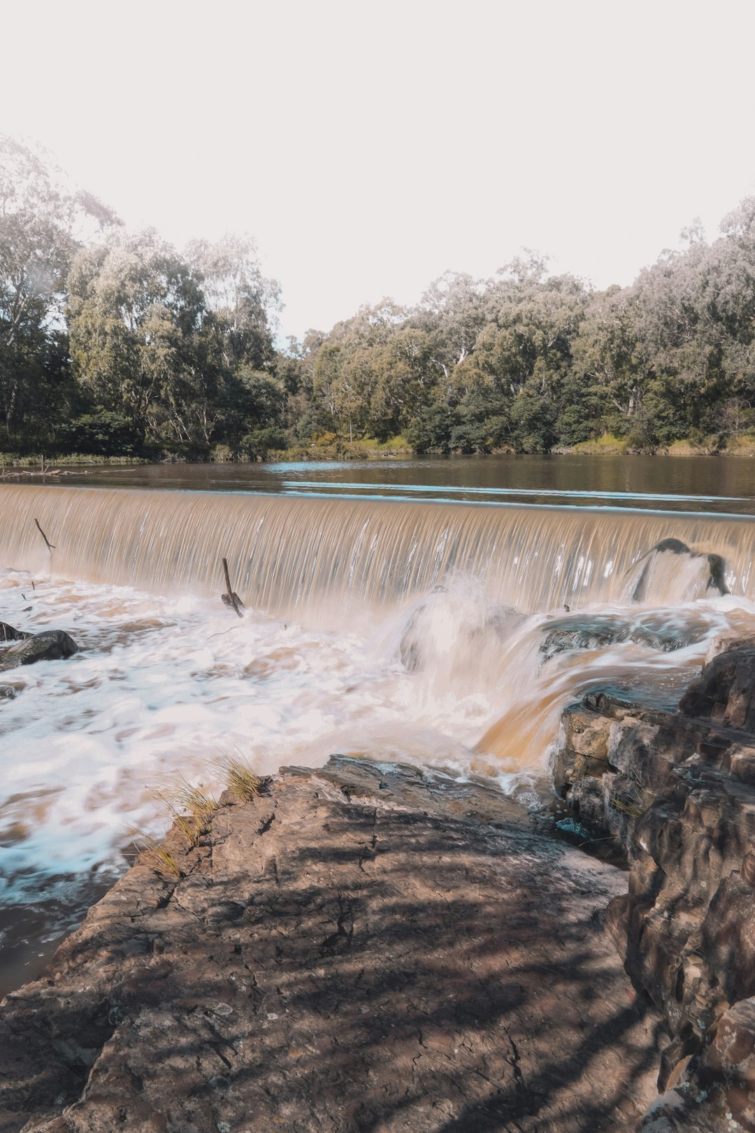 water falls in the middle of green trees