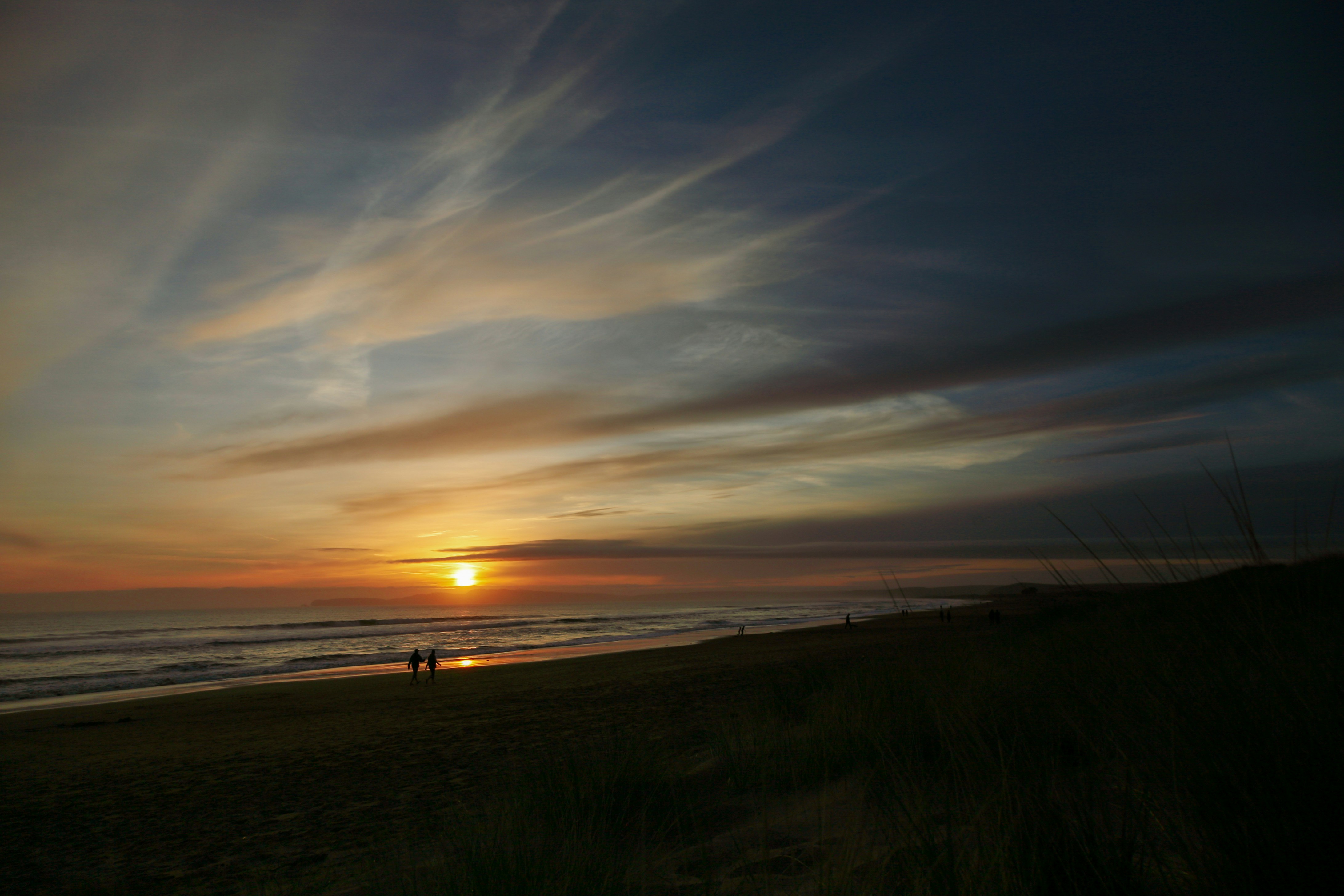 silhouette of people on beach during sunset