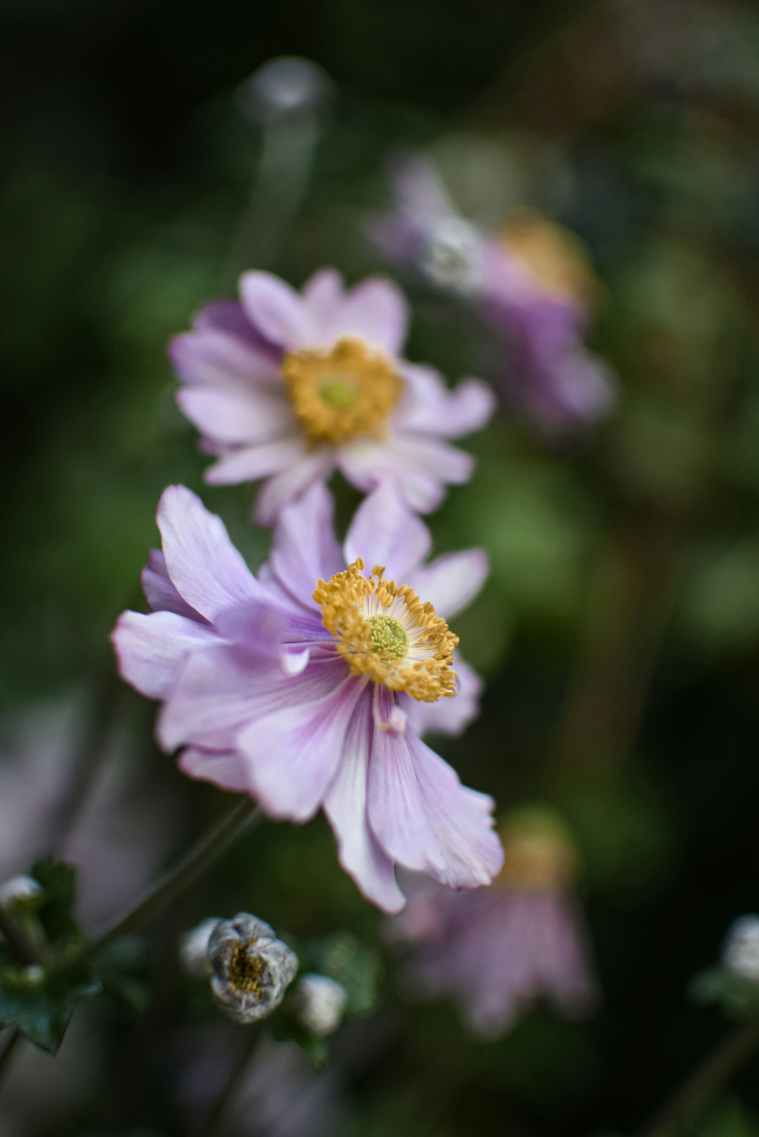 Photo by thyjane