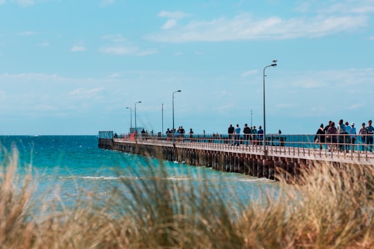people walking on dock during daytime in Rosebud VIC Australia