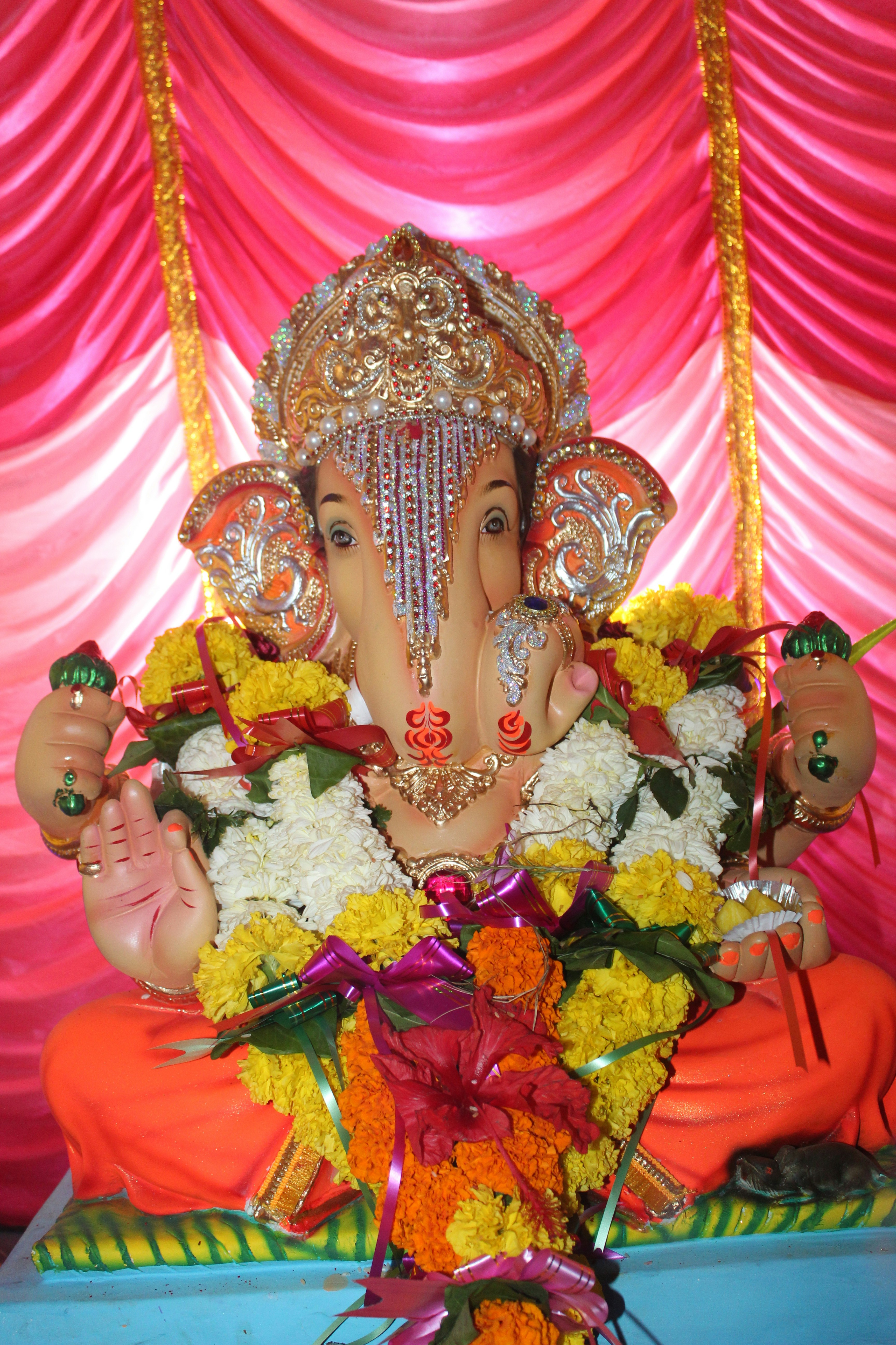 Photo by bhupeshgole296