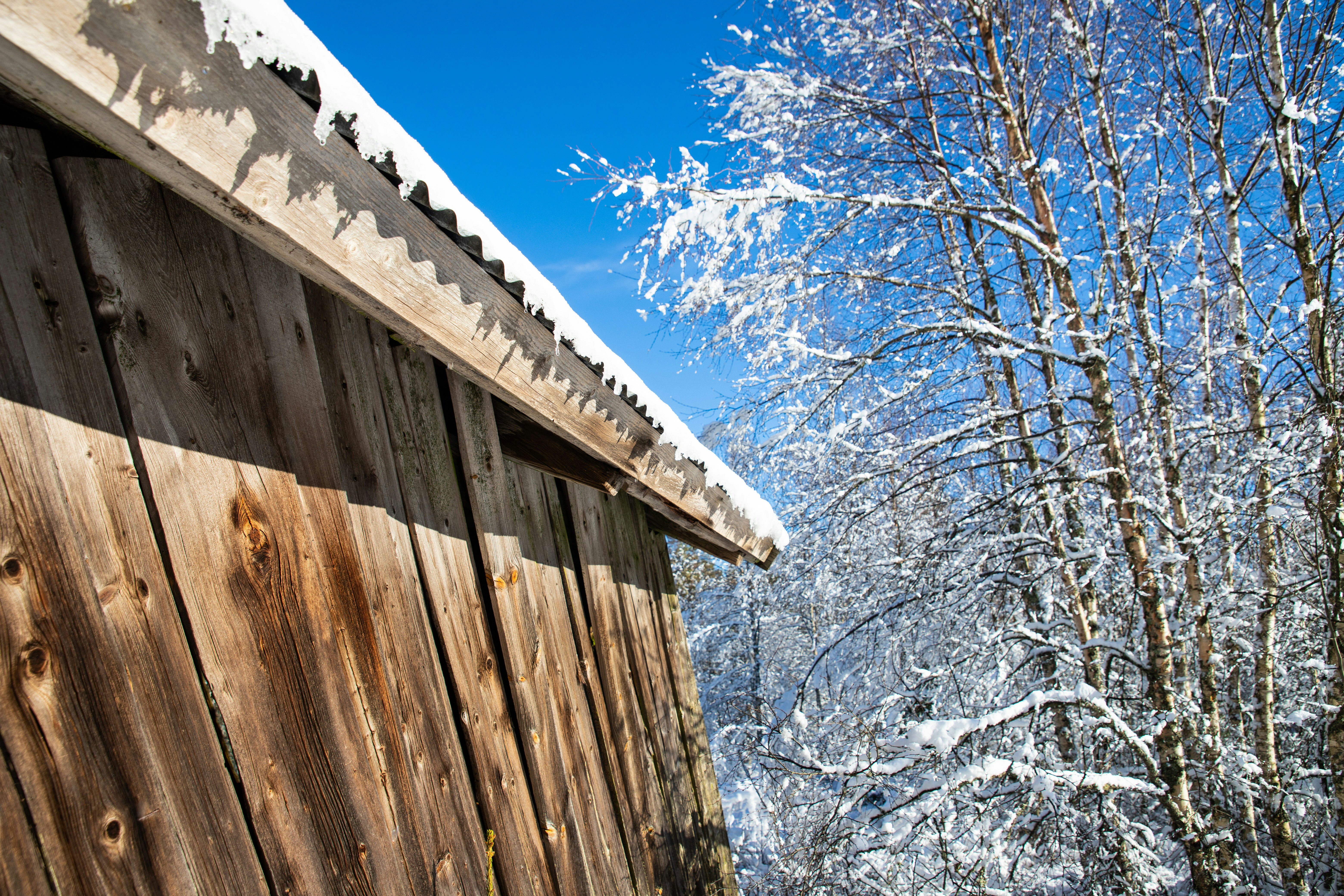 Photo by magnusostberg