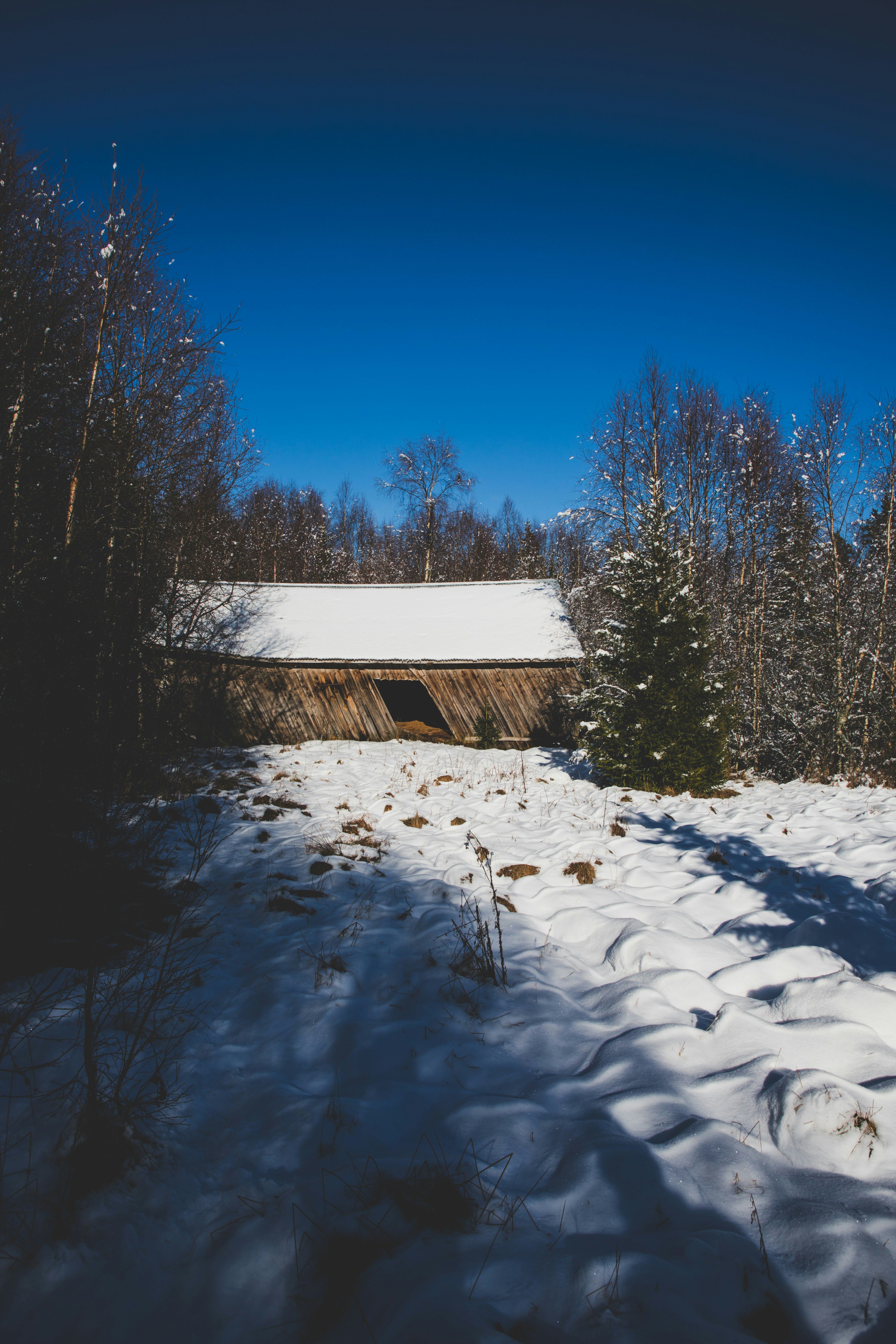 Photo by magnusostberg