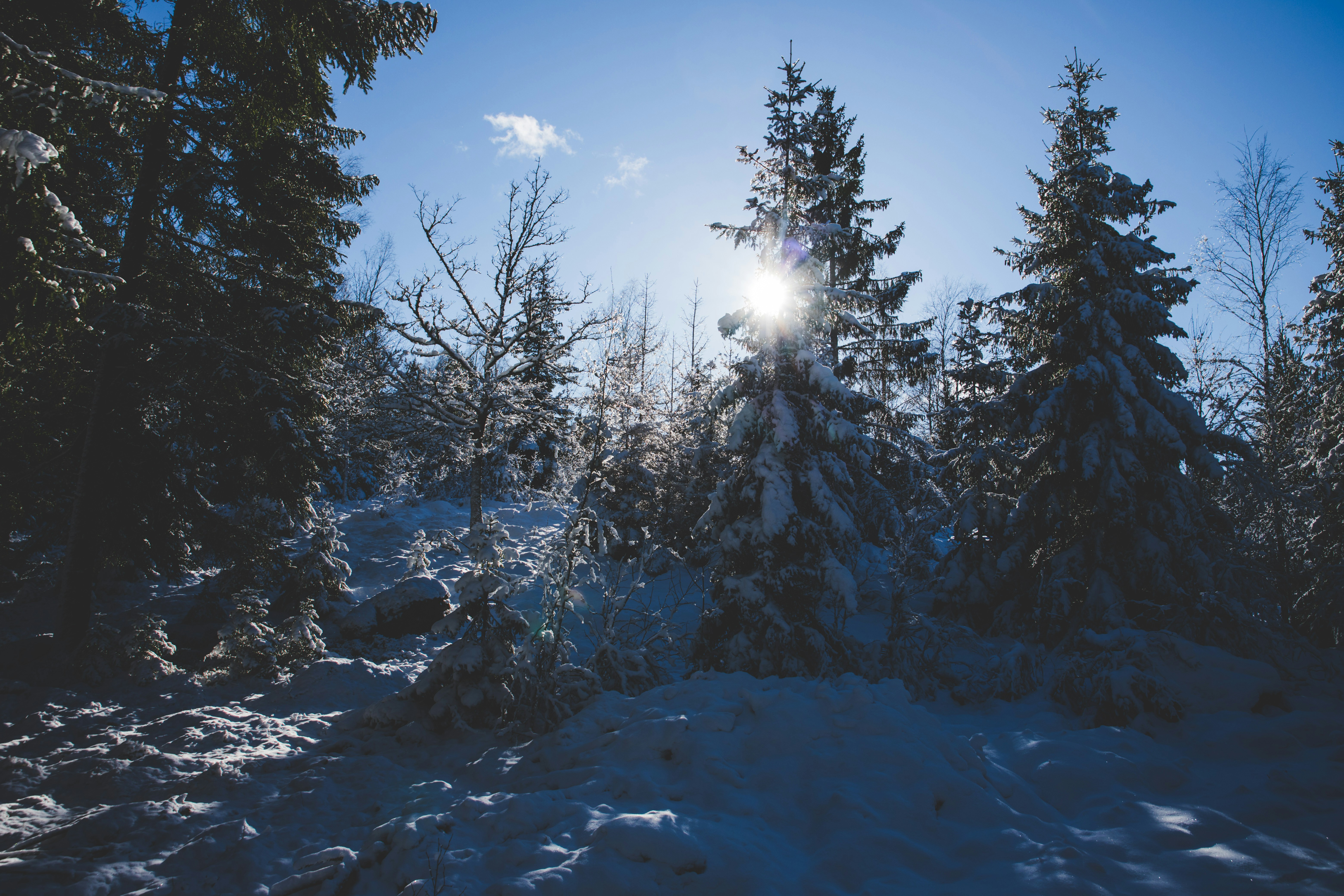 Photo by magnusostberg