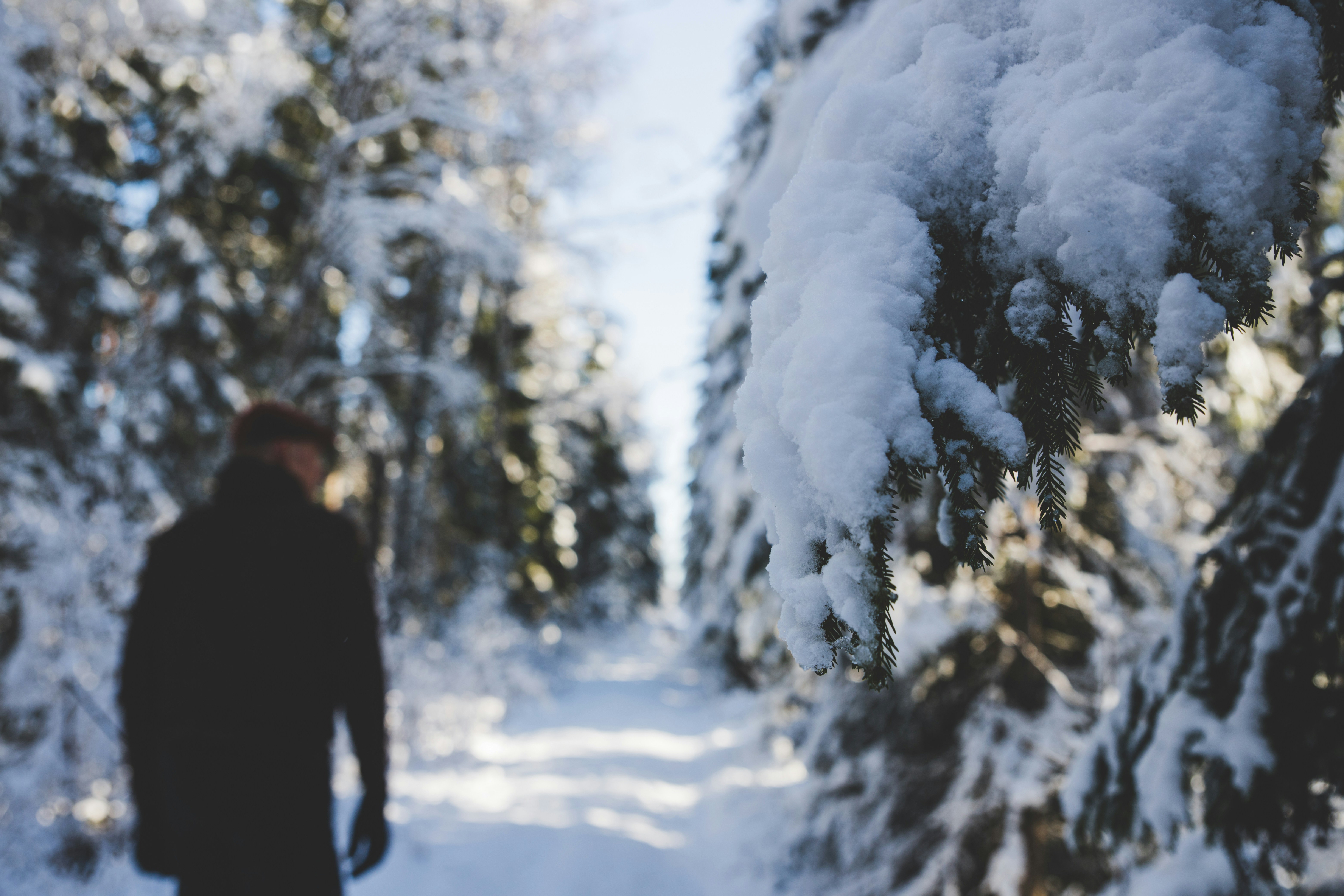 How to Deal with Seasonal Affective Disorder - Wellness Tips