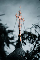 brown and white flower in black glass bottle