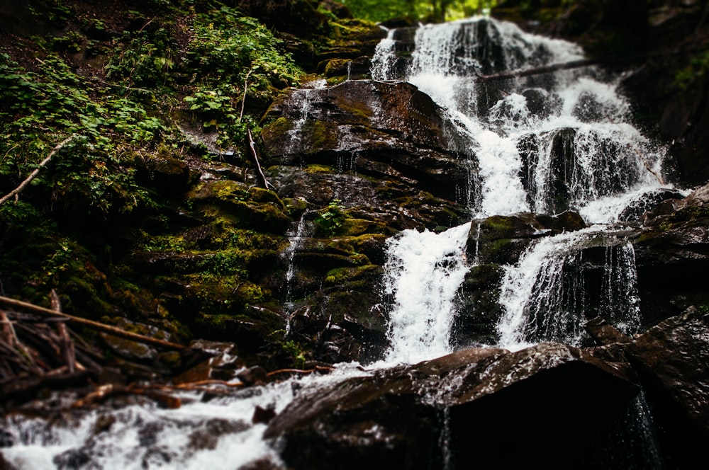 water falls in the forest