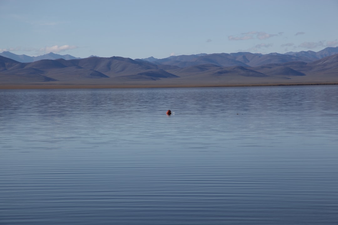 person in red shirt standing on body of water during daytime