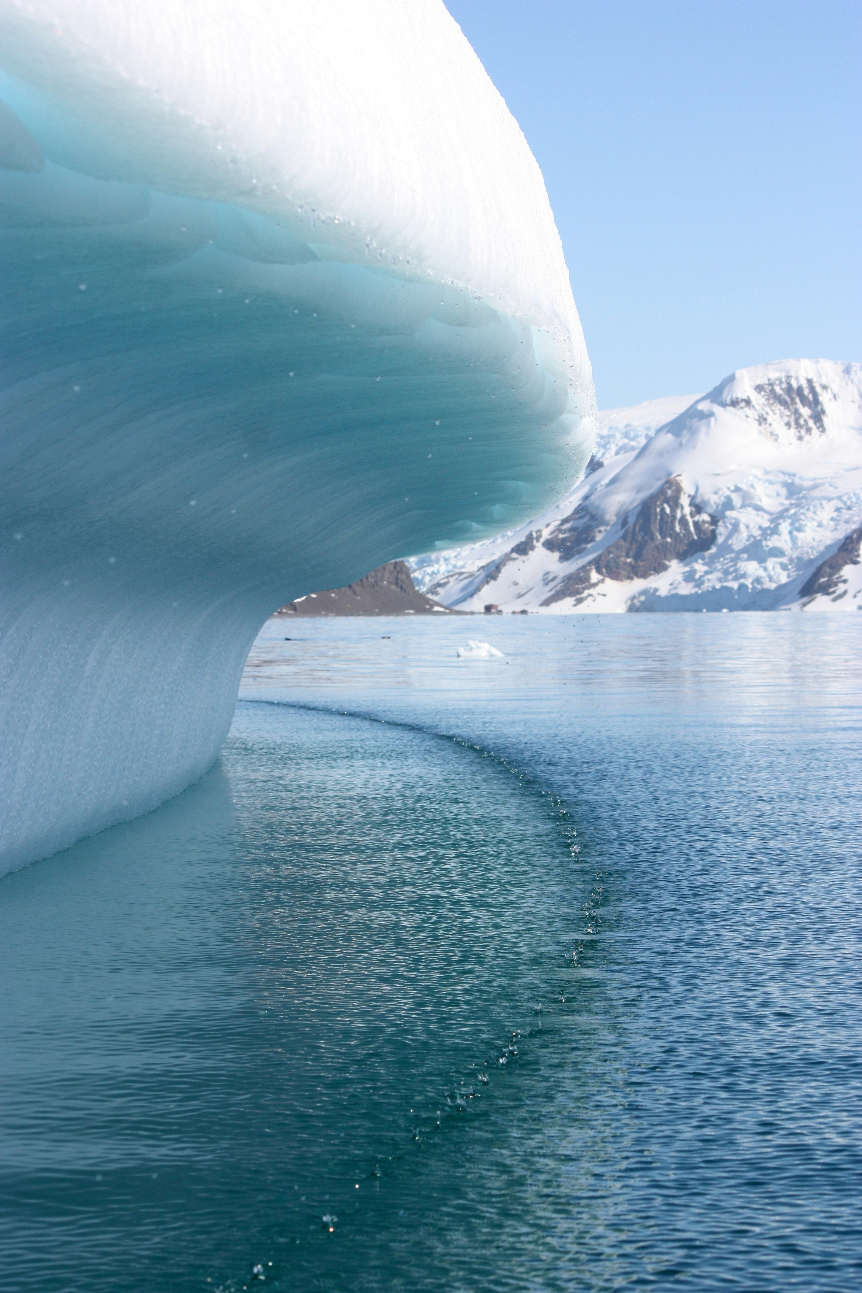 The edge of an iceberg, melting in the Austral summer.